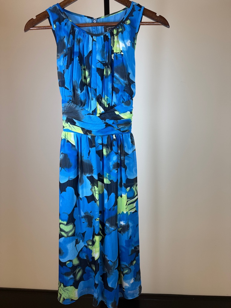 Adrianna Papell Blue & Green Floral Chiffon Shirred Midi Dress | Size 4